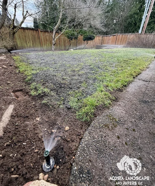 Lawn Care & Sprinkler System Installation